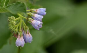 背中のニキビ跡をレーザーで効果的に治療する方法は？