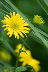 背中ニキビの悩みを解消するための具体的な方法は？